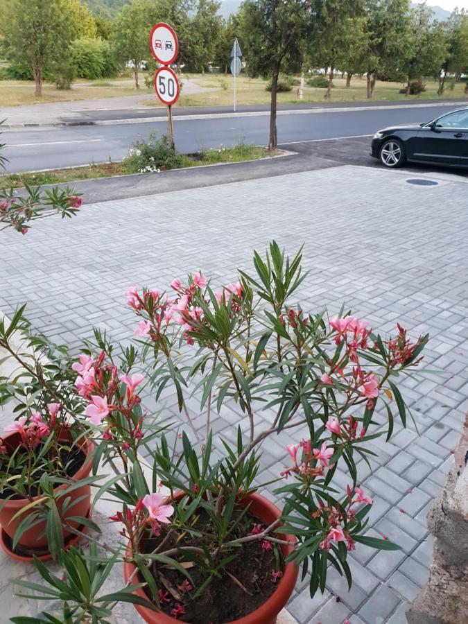 Pretty Garden Villa Orşova Dış mekan fotoğraf